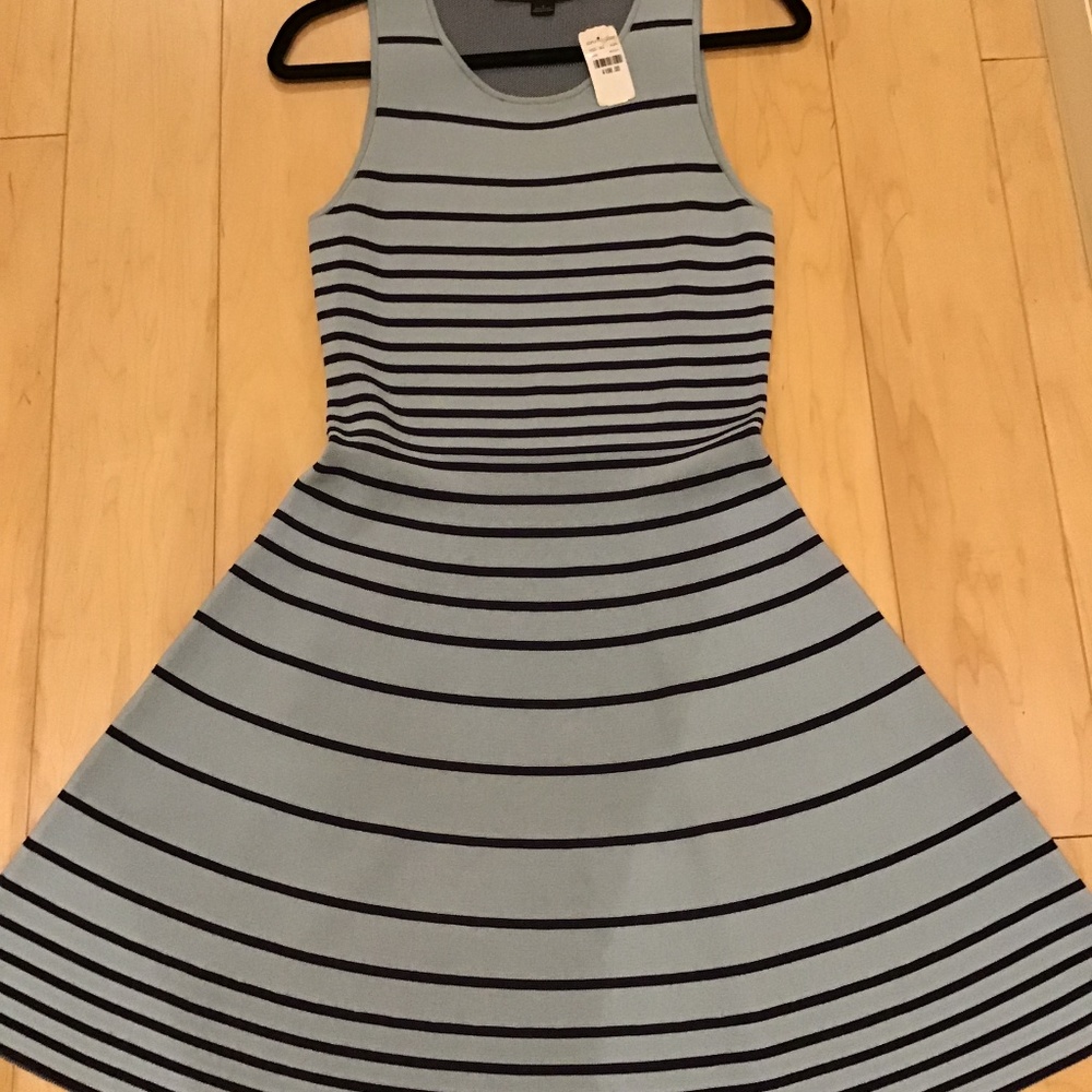 Light blue with navy stripes dress (size S)